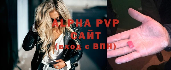 альфа пвп Новодвинск