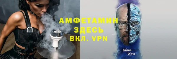прущие грибы Абинск