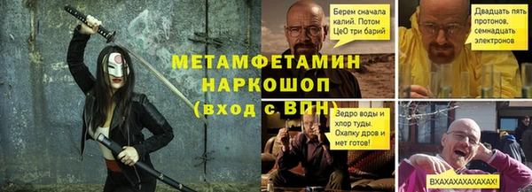 прущие грибы Абинск
