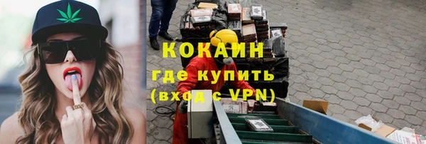 прущие грибы Абинск